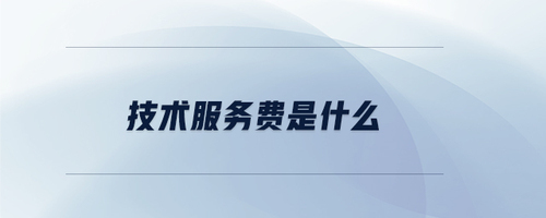 技術服務費 解析技術咨詢與服務的核心內涵